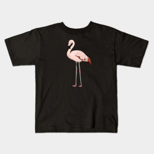 Flamingo Bird Watching Birding Ornithologist Gift Kids T-Shirt